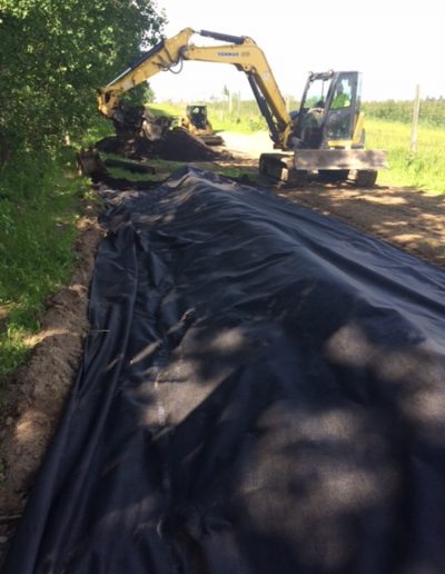 Septic Mound